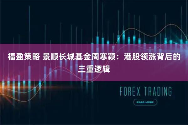 福盈策略 景顺长城基金周寒颖：港股领涨背后的三重逻辑